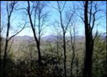 Hummingbird Ridge View